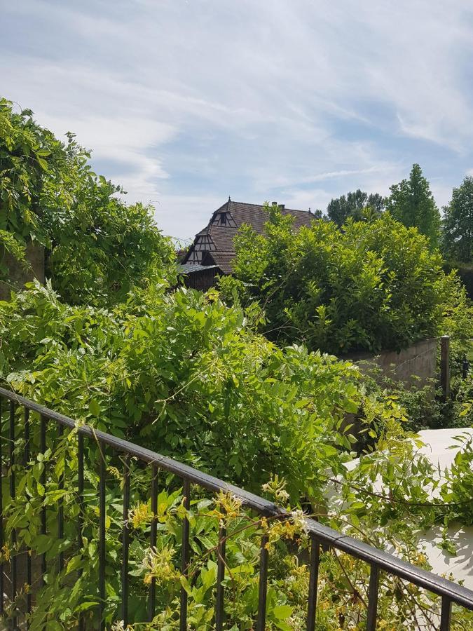 Cote Jardin Διαμέρισμα Kilstett Εξωτερικό φωτογραφία